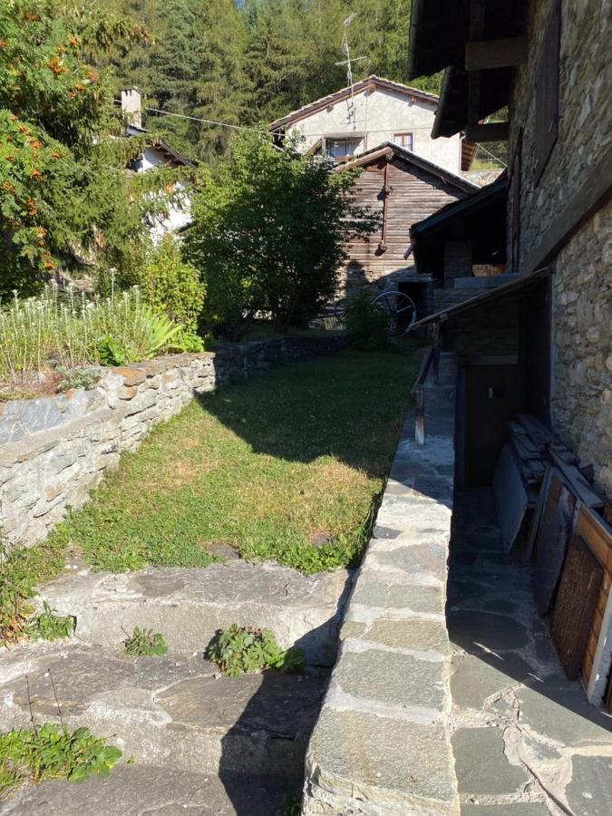 Maison Alla Vecchia Zia Lejlighed Cerise Eksteriør billede